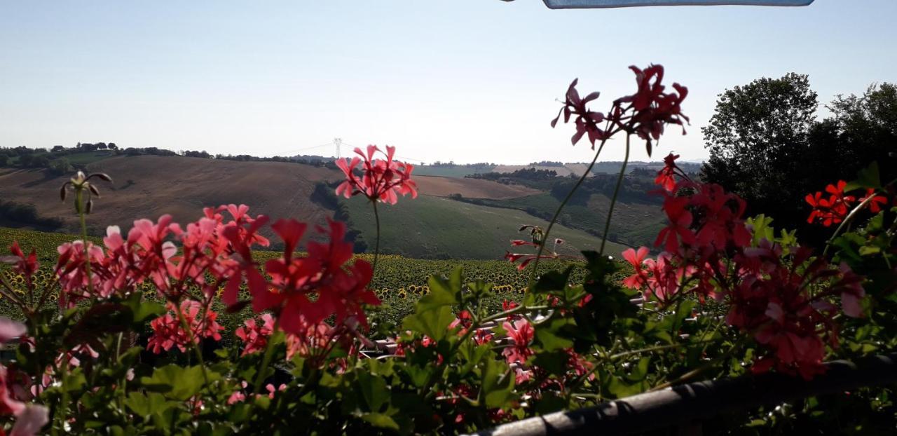 Bed and Breakfast Lo Scrigno Di Simon Senigallia Exterior foto